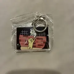 んぽちゃむ　ガチャガチャ　キーホルダーのサムネイル