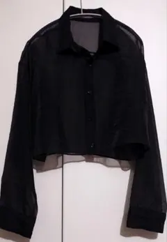 ASTRAET オーガンジー クロップド レギュラーカラーシャツ ¥27,500のサムネイル