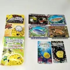 2025年最新】マリンマリンメモリーカードの人気アイテム - メルカリ