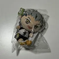 ハイキュー　木兎光太郎　ぬいもっち