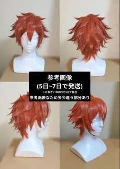 だい 出品 ウィッグオーダー エース・トラッポラ 2025年最新】エース・トラッポラ ウィッグの人気アイテム - メルカリ