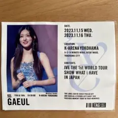 ガウル アイドル