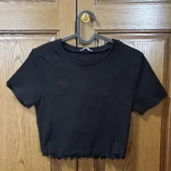 ZARA 黒 クロップドTシャツ