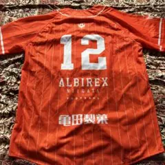 ALBIREX NIIGATA アルビレックス新潟　ベースボールシャツ