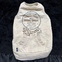 Item thumbnail for item 32087dfd-ba4c-41fc-bff1-48fa17632b28