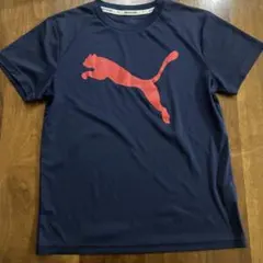 PUMA ネイビー Tシャツ 150