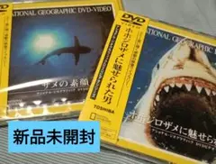 ホホジロサメ、サメの素顔…ナショナルジオグラフィックDVD新品未開封