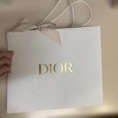 Dior coachショップ袋