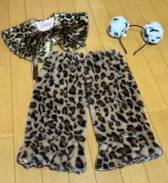 Item thumbnail for item c81e38fb-541b-43ed-a521-61c469e6e3de