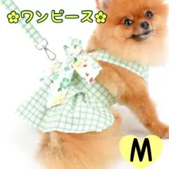 Item thumbnail for item 51478c8b-69ea-465a-be61-6e74ef00af65