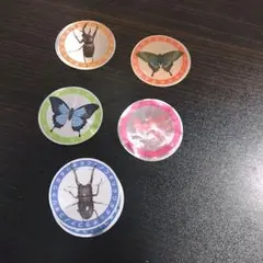 Item thumbnail for item 63426e50-afa1-4d38-bd88-2100365bb022