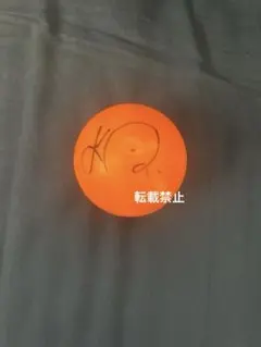 【即購入⭕️】reinyourheart様 リクエスト 2点 まとめ商品