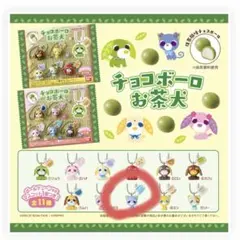 チョコボーロ　お茶犬　ラン