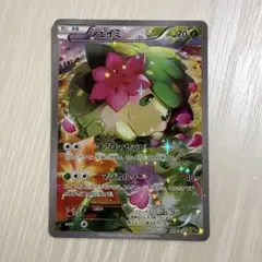 ✨シェイミXYBREAK コンセプトパック 幻・伝説ドリームキラコレクション✨