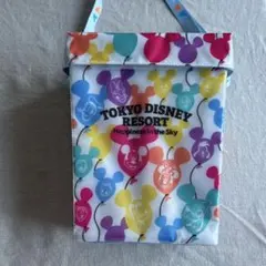 東京ディズニーリゾート ポップコーンバケット