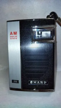 Item thumbnail for item 83ddd6d5-38eb-44b9-bffa-8eea54a0a164