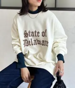 CPCM State of Delaware スウェット L