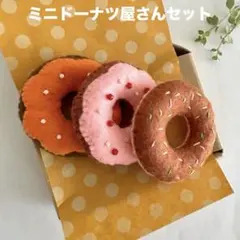 ＊フェルトおままごと　ミニドーナツセット箱入り＊Ａセット