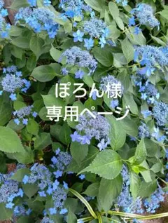 ぽろん様 リクエスト 2点 まとめ商品