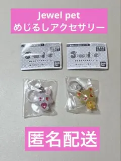 ＊大人気＊ジュエルペット めじるしアクセサリー2 ルビージェスパー2種セット②