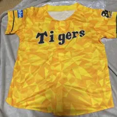 Item thumbnail for item fe6b77fd-d3bf-487d-a739-4f3b42a91783