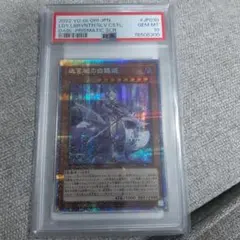 PSA10】 リリスモン ゴールドエッチング 15th 旧デジモンカード - メルカリ