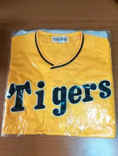 Item thumbnail for item d6fb4e25-2e7e-4aee-9294-6c5bb4769c1e