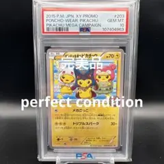 2026年最新】鑑定状況：PSA10 ポケモンカードゲームの人気アイテム
