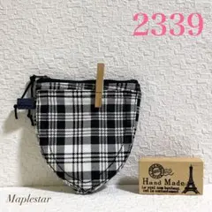 Item thumbnail for item 4cb91f19-ea99-4d71-aecf-4091285ac08c