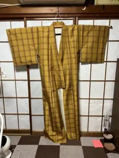 着物　黄八丈のサムネイル
