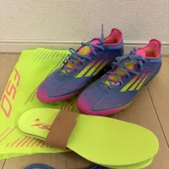 Item thumbnail for item 5fe55e2f-ef79-44e4-9263-86f5a2fd70dc