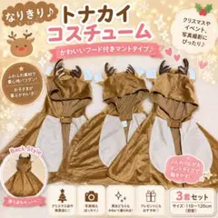 まとめ売り✩クリスマス トナカイセットのサムネイル