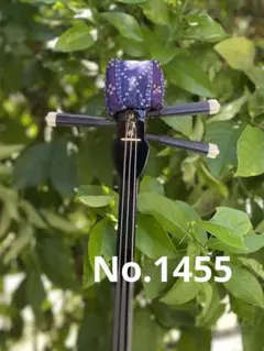 Item thumbnail for item a7b3ffd0-80b0-4c7f-990f-6c14f090b66e