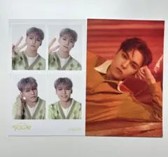 バーノン 4カット ハイブインサイト フォト