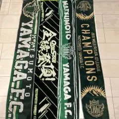 2026年最新】松本山雅 タオルの人気アイテム - メルカリ