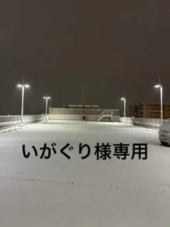 いがぐり様専用　しゃーなし300円　小娘パック　返品なし　にんじん入り