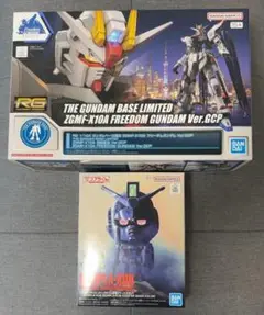 上海フリーダム RG 本体＋取説のみ 箱なし 2025年最新】フリーダム rg 上海の人気アイテム - メルカリ
