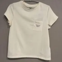 Item thumbnail for item 949c8c13-12f4-4873-9b0d-2d3b384c5c52