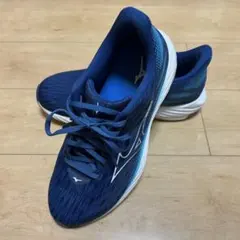 Mizuno WAVE RIDER 28 | 29.0cm ミズノ