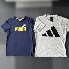 男の子　女の子　150 160㎝　PUMA スヌーピー Tシャツ 紺色　コラボ