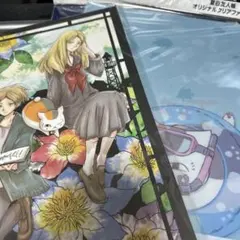 夏目友人帳 原画展 限定 パンフレット クリアファイル ポストカード まとめ売り 夏目友人帳 原画展 限定 パンフレット クリアファイル ポスト