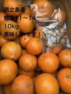 2026年最新】たんかん 10kgの人気アイテム - メルカリ
