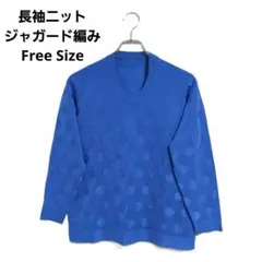 長袖ニット ブルー 薄手 F ドット柄 ジャガード編み 春秋 おしゃれ セーター