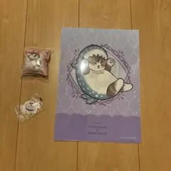 mofusand × くら寿司 3点セット