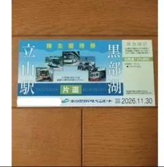 立山黒部アルペンルート チケット 株主優待券2枚 立山駅-黒部湖 - メルカリ