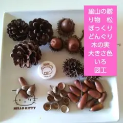 里山の贈り物　松ぼっくり　どんぐり　大きさいろいろ　小枝　楓の実　おまけ