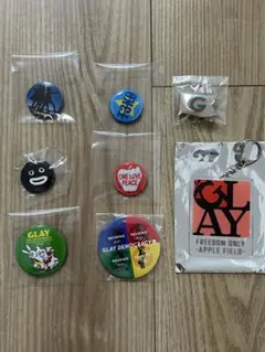 GLAY TERU 缶バッジ 、ピンバッジ 、キーホルダー セット，のサムネイル