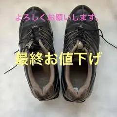 MIZUNO メンズ　ゴルフシューズ　ブラウン色　ソフトスパイク