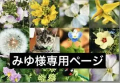 みゆ様専用ページ