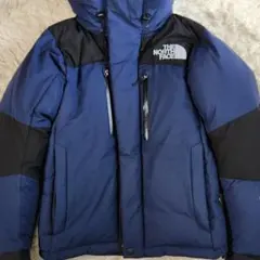 THE NORTH FACE ノースフェイス ヒムダウンパーカ GORE-TEX